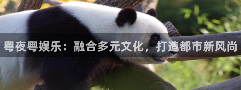 优游国际官网首页