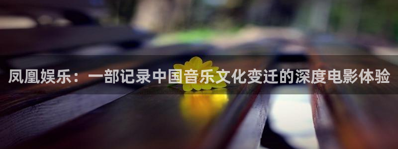 优游国际官网首页